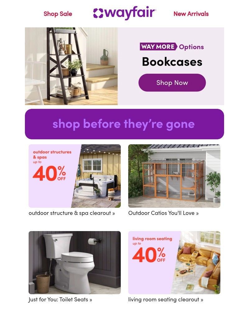 Screenshot of email with subject /media/emails/b-o-o-k-c-a-s-e-s-f4a5d7-cropped-02d63390.jpg