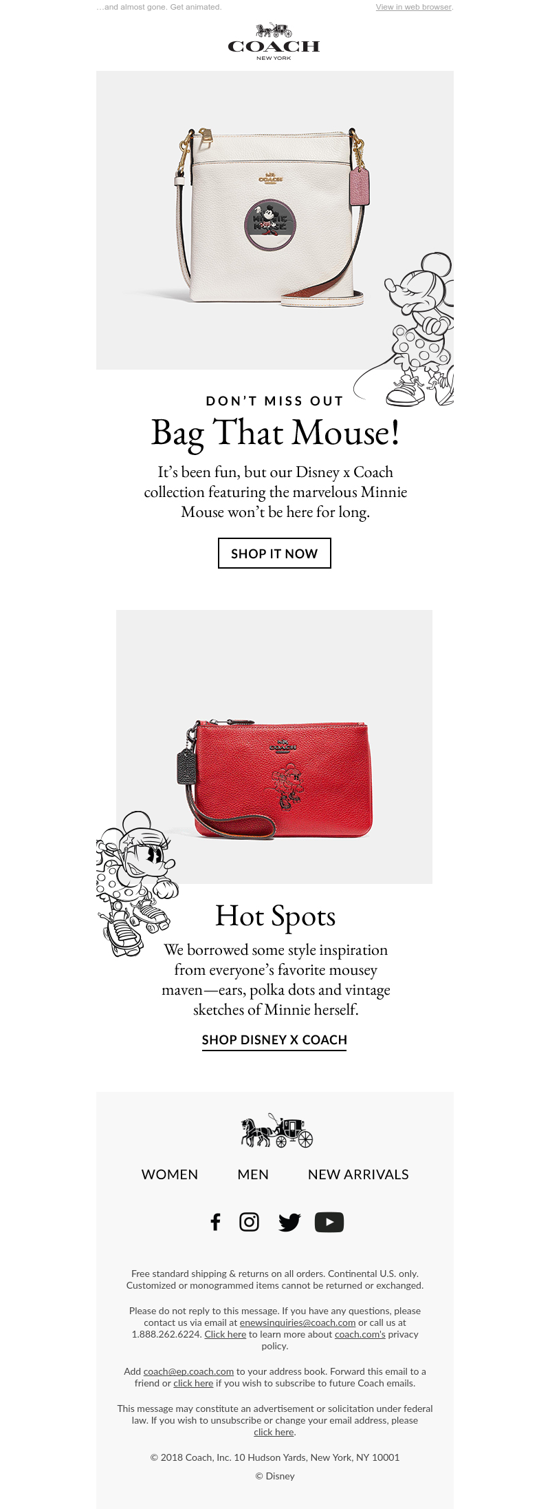 Screenshot of email with subject /media/emails/b03d5d6e-ae13-4cb3-9fbe-a23a6467328a.png