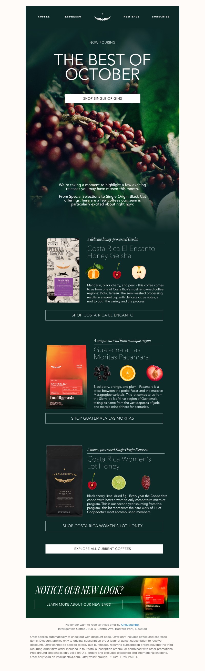 Screenshot of email with subject /media/emails/b0517417-d942-4a43-a83e-940517a7e600.jpg