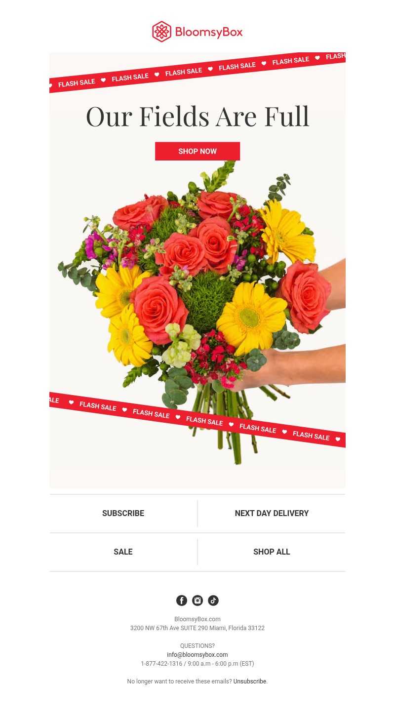 Screenshot of email with subject /media/emails/b109a9c0-7abc-4a53-b6aa-cb12d2325527.jpg