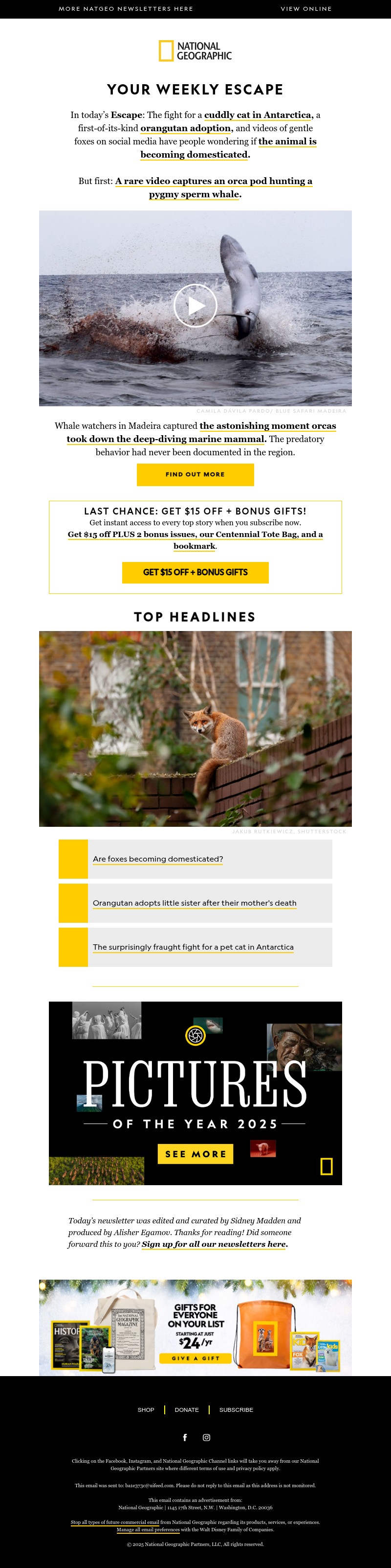 Screenshot of email with subject /media/emails/b1572b41-0dcc-4bb1-8219-1416a21972d3.jpg