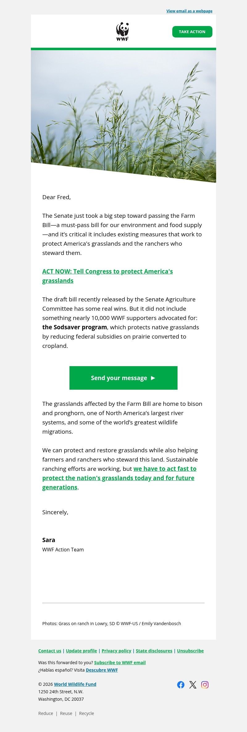 Screenshot of email with subject /media/emails/b195add1-3921-41d1-ba93-e5aad7837dcf.jpg