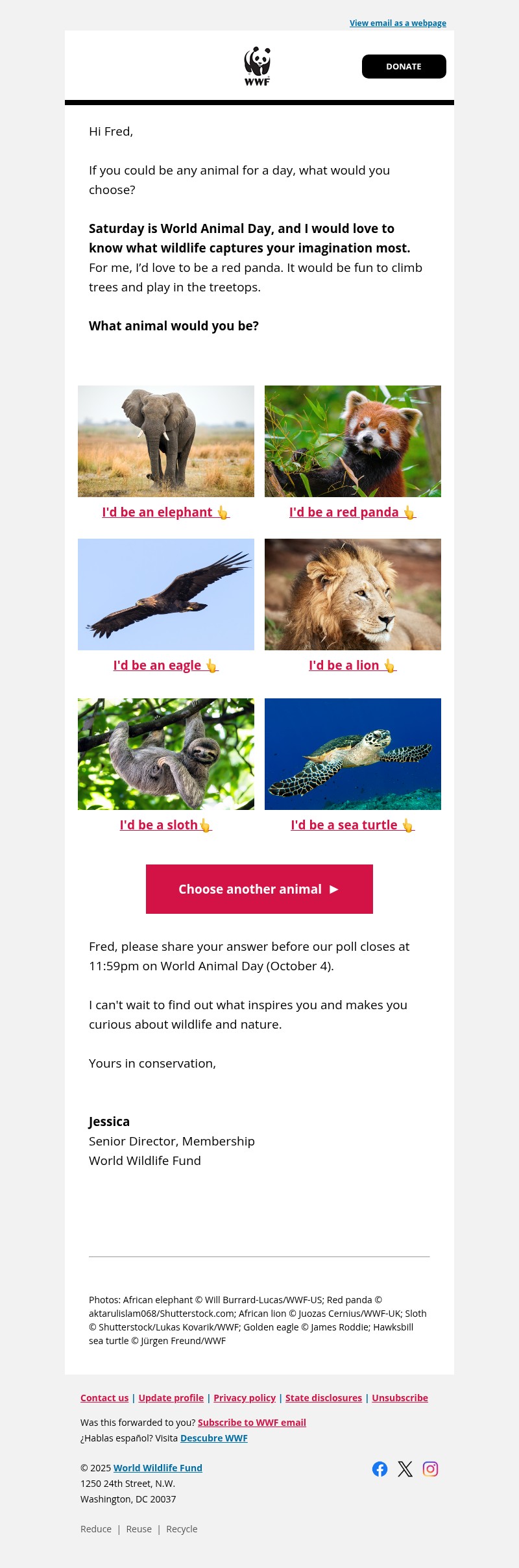 Screenshot of email with subject /media/emails/b1bd8422-2249-45dd-9db0-1f34faafdf1a.jpg