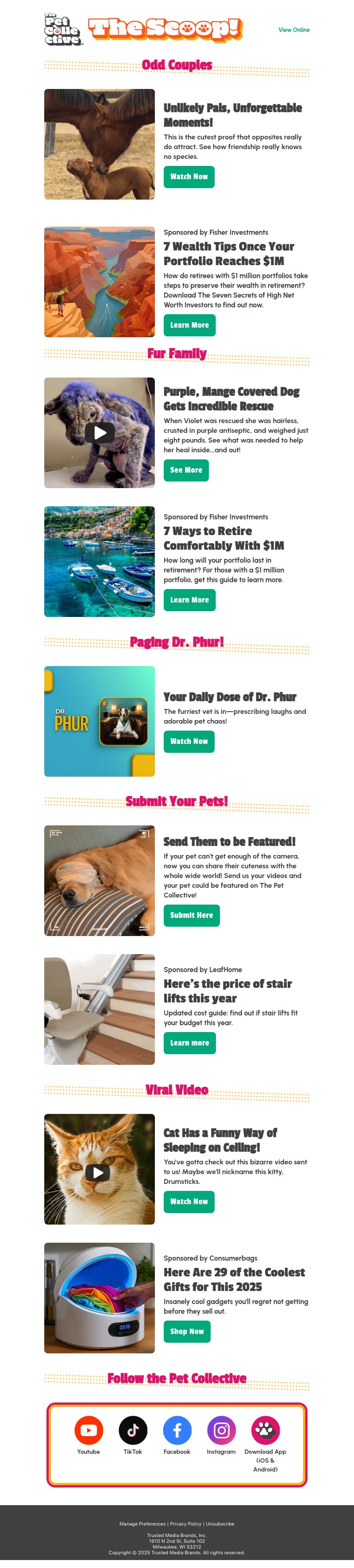 Screenshot of email with subject /media/emails/b1bf2fc4-7785-4b4f-ab9c-b3b691360ed5.jpg