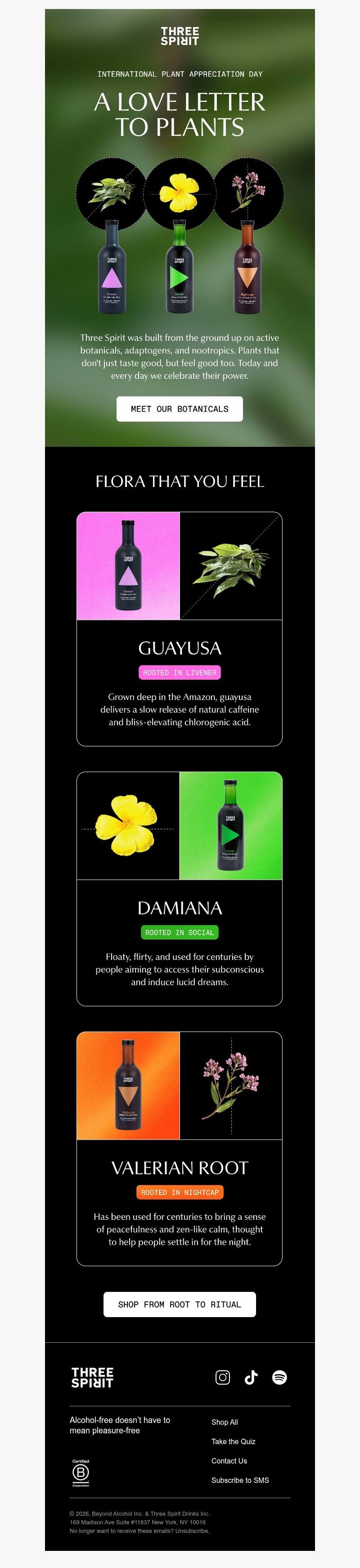 Screenshot of email with subject /media/emails/b21a901f-1f46-47d9-8cdb-e9c810831dbb.jpg