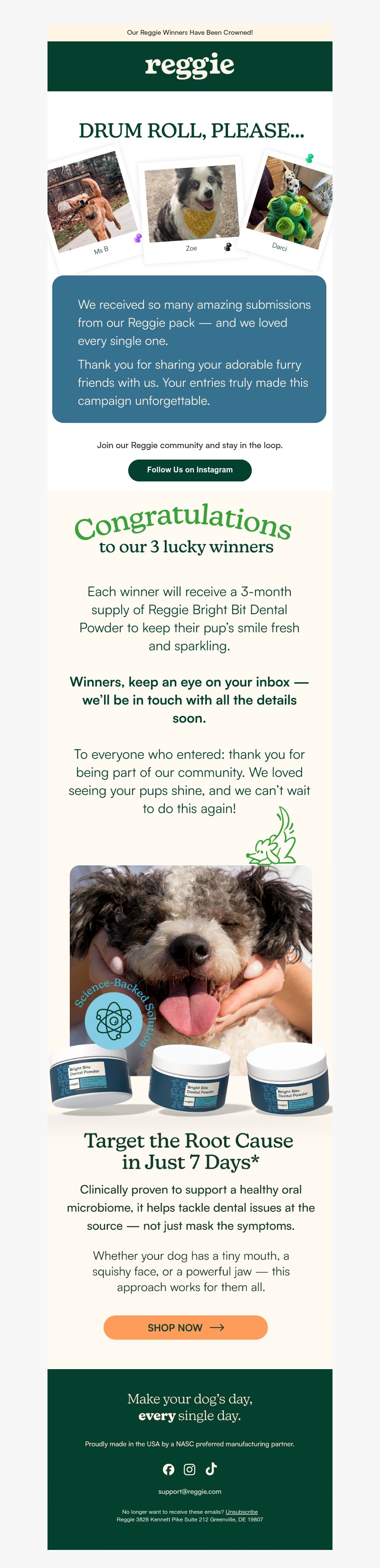 Screenshot of email with subject /media/emails/b22c00ea-b214-470a-81a4-cb7dc4a31946.jpg