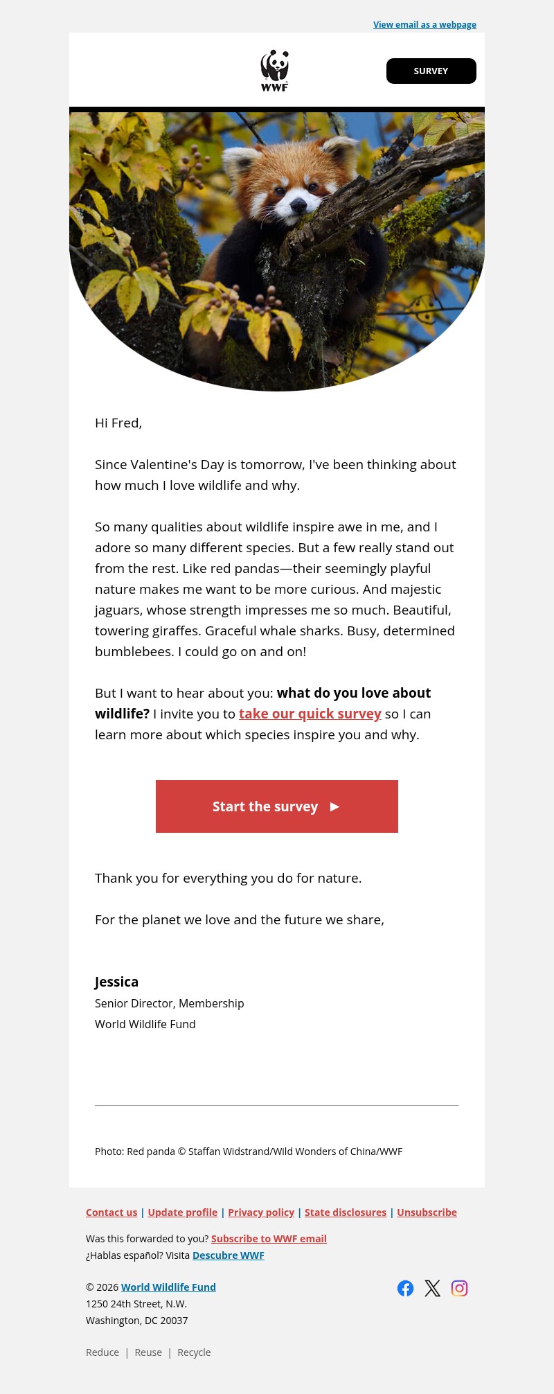 Screenshot of email with subject /media/emails/b240958e-b8fd-4996-a311-84a35530ac04.jpg