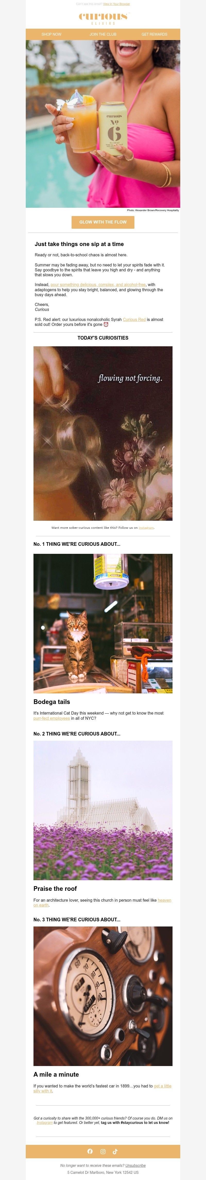 Screenshot of email with subject /media/emails/b295f766-8a60-4302-8a00-7d0f9081a2ce.jpg
