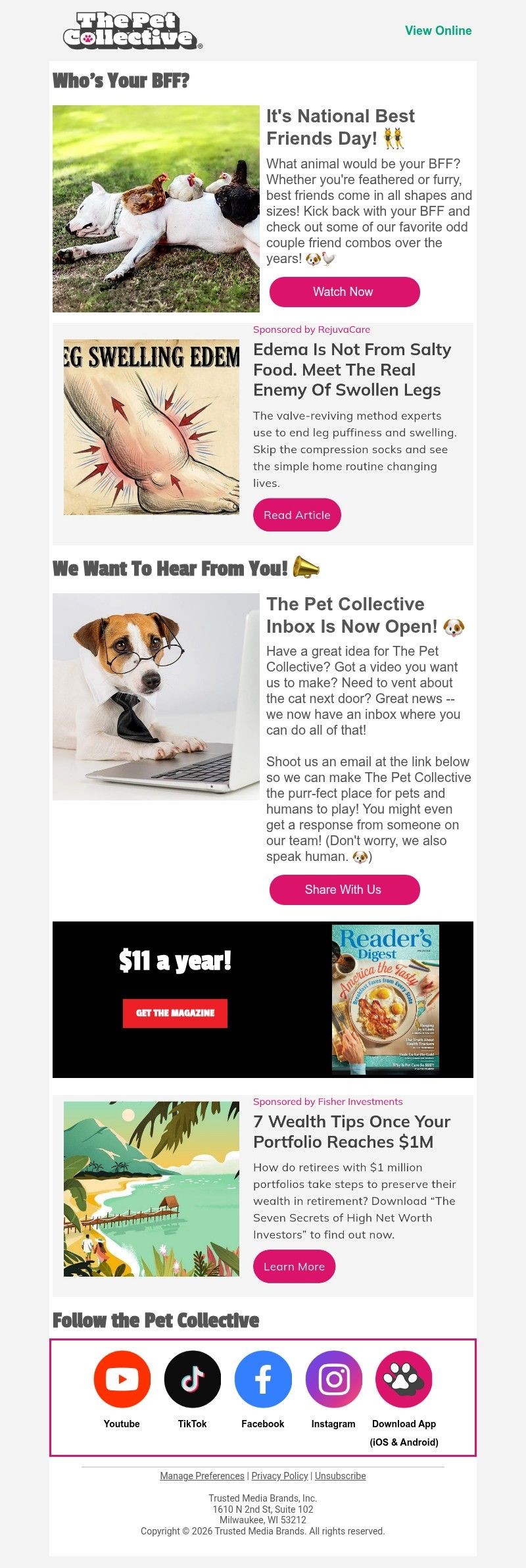 Screenshot of email with subject /media/emails/b31bbb3c-65e8-4abf-8ebb-c7f2f20e5995.jpg