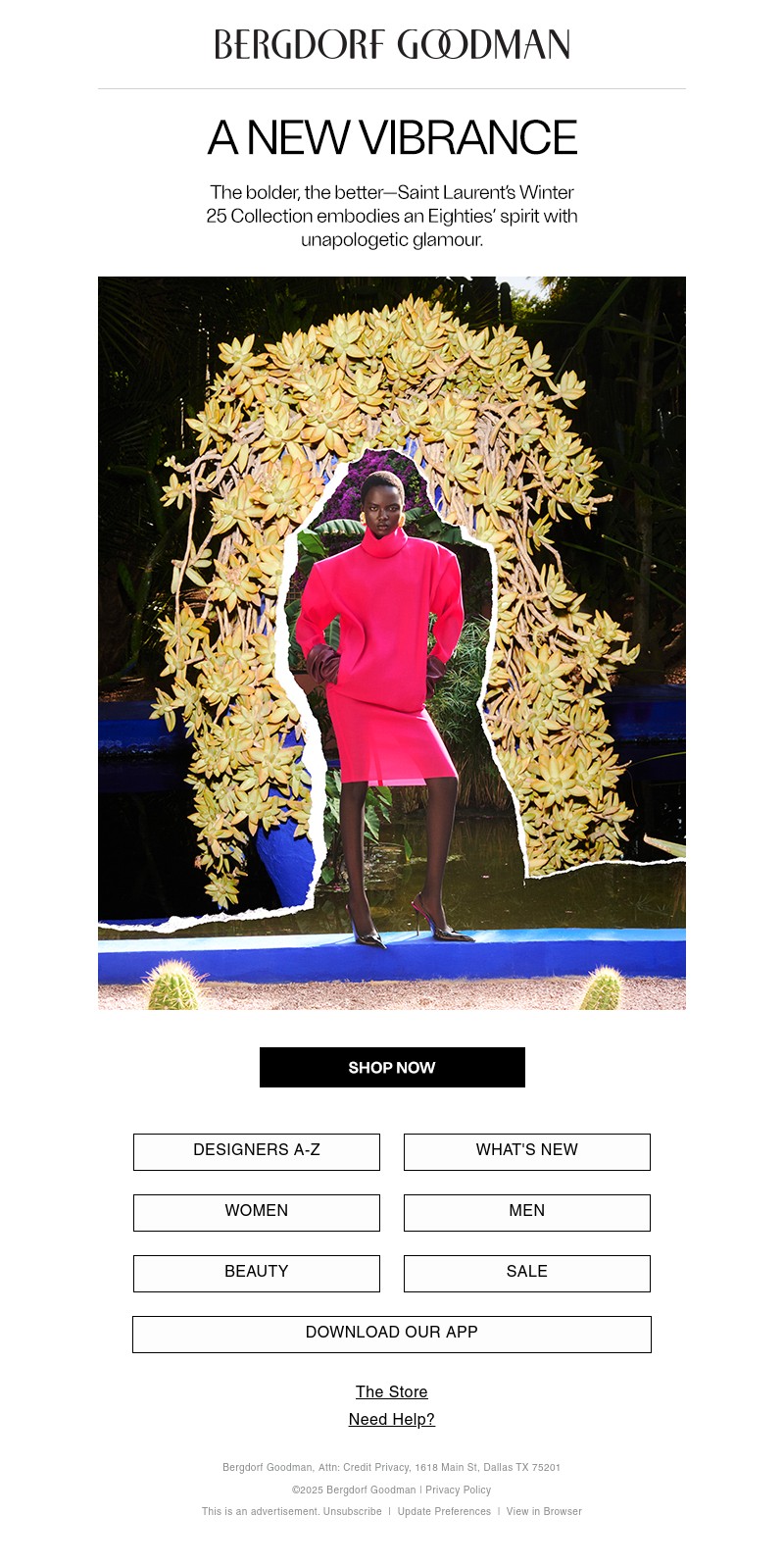 Screenshot of email with subject /media/emails/b42e80c3-4e78-4483-a89b-dd8a1944fc34.jpg