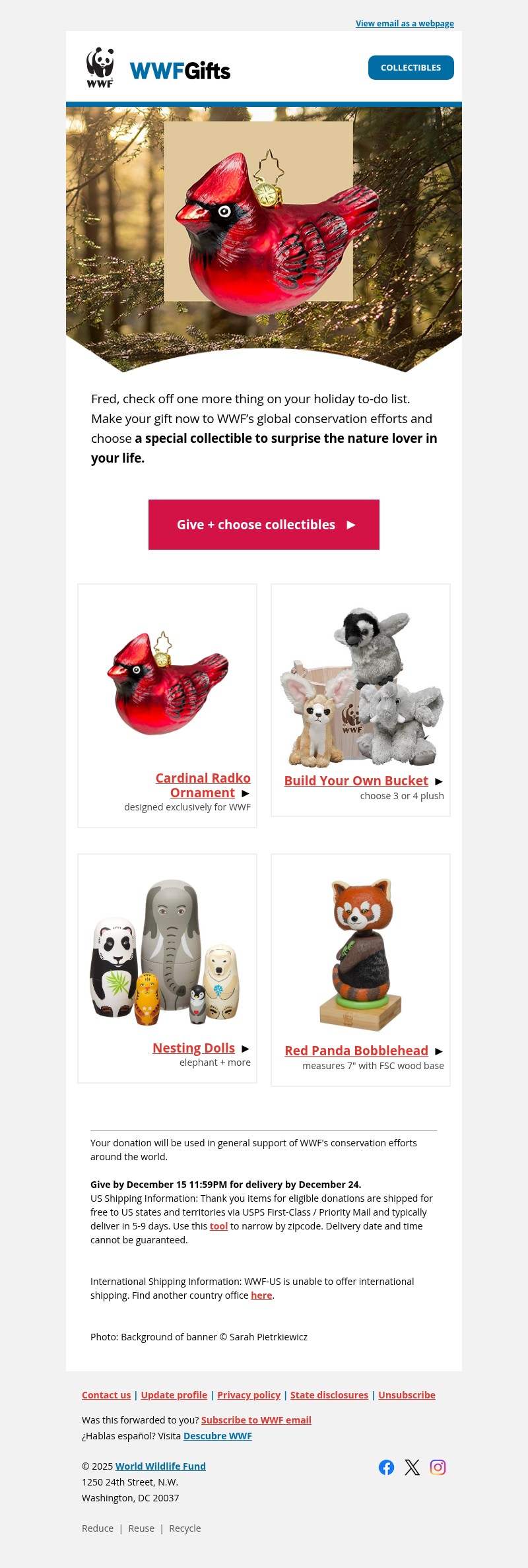 Screenshot of email with subject /media/emails/b4ae7be1-2716-4aa0-9c23-46384138e554.jpg