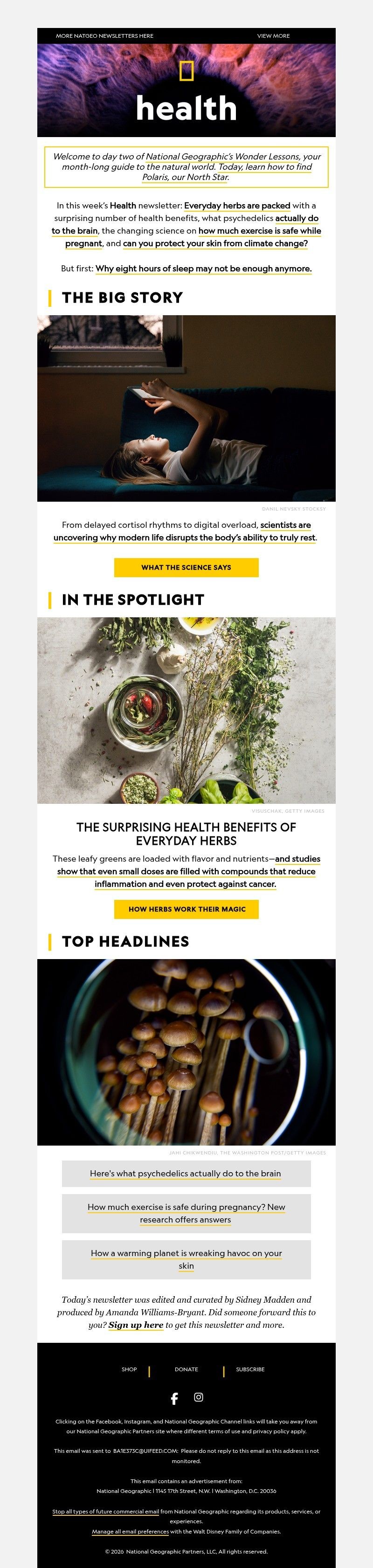 Screenshot of email with subject /media/emails/b519261d-6a84-4257-a667-a4b169e70cc6.jpg