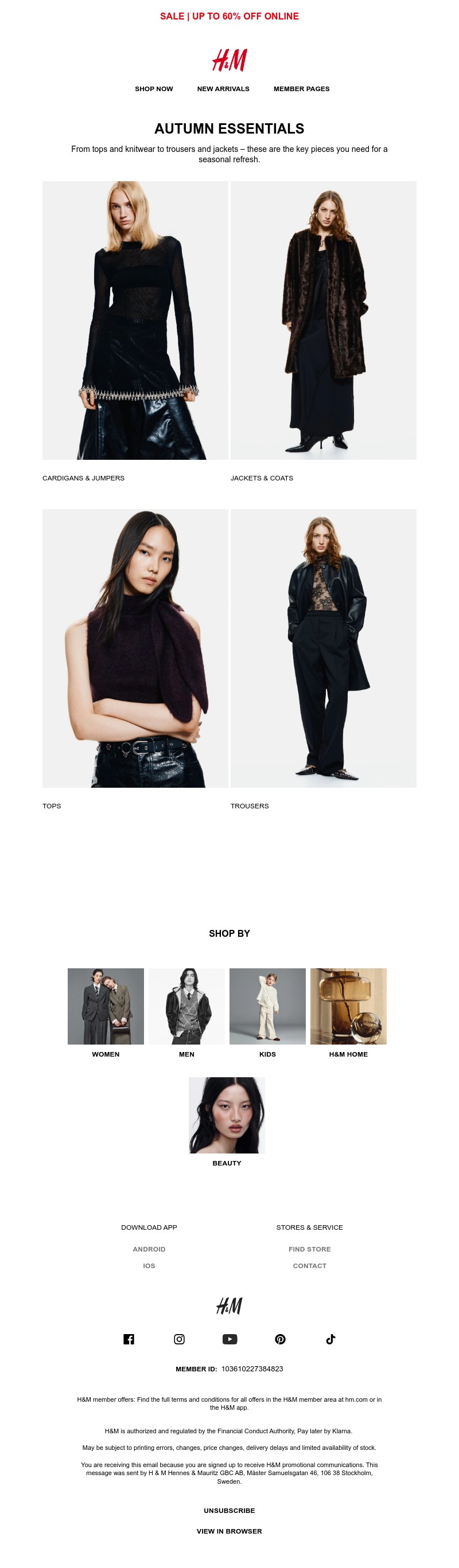 Screenshot of email with subject /media/emails/b54fa1b7-5567-451e-8378-5ec1132aa5ee.jpg