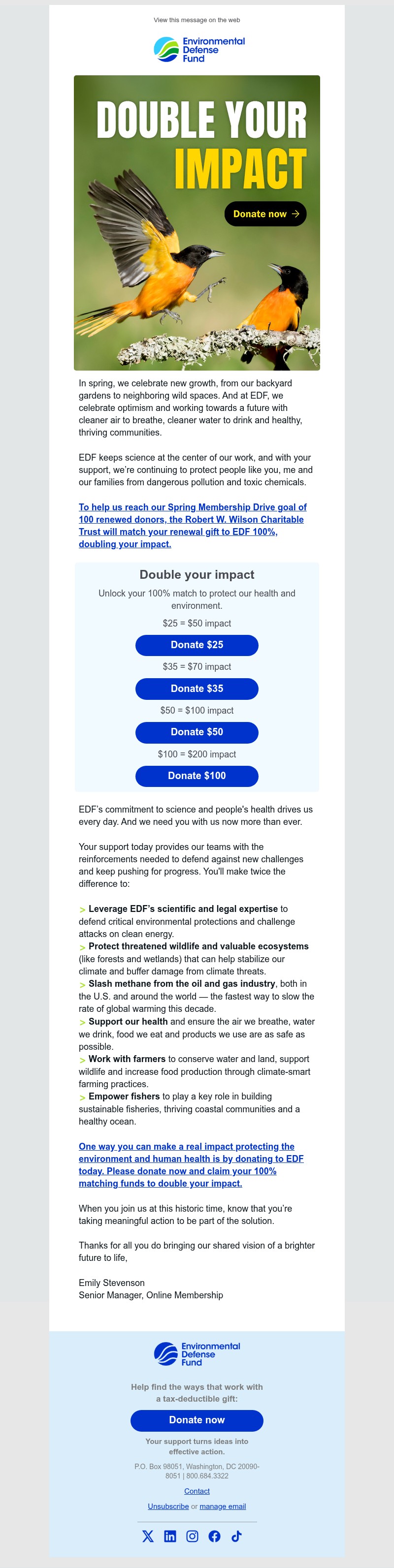 Screenshot of email with subject /media/emails/b5701346-4f9b-49fb-ab7d-fc30dcef248d.jpg