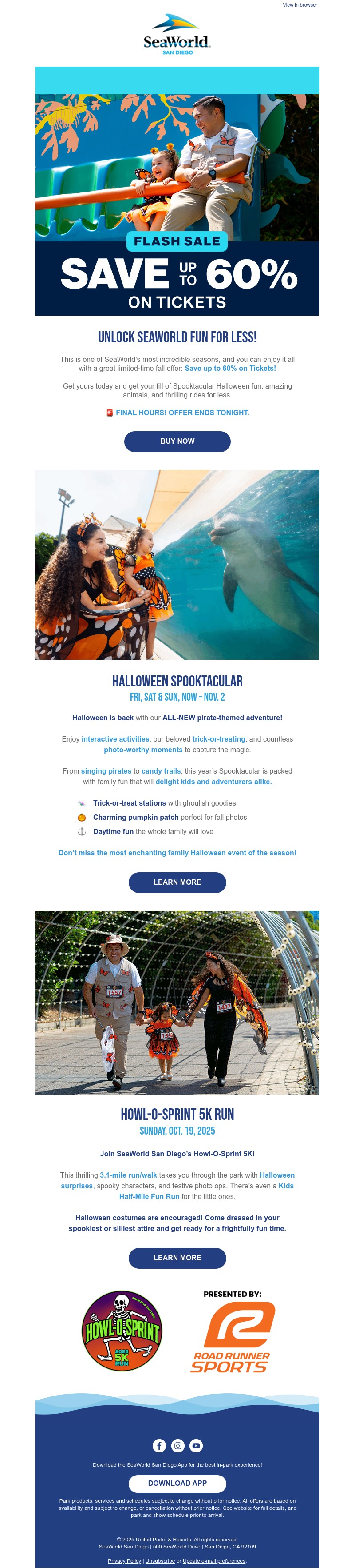 Screenshot of email with subject /media/emails/b6334903-7477-44e9-a81d-1e2a86160fca.jpg