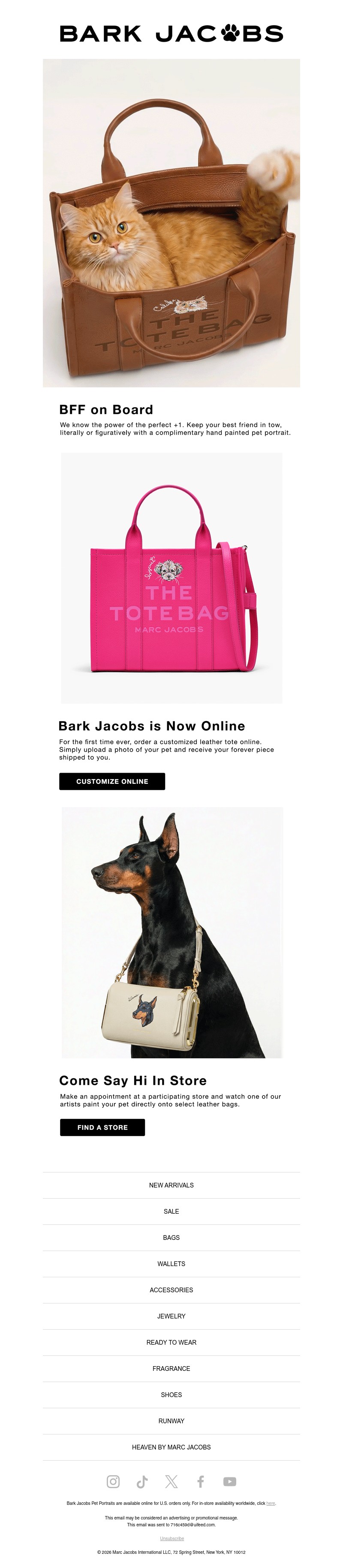 Screenshot of email with subject /media/emails/b6fa5dc1-371b-4ced-a425-39759cf4cf40.jpg