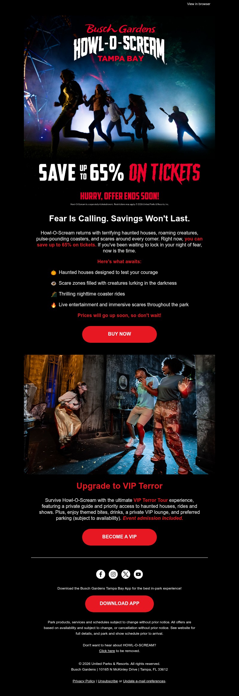 Screenshot of email with subject /media/emails/b74496db-7fbc-4b20-a5f0-22e1e0347321.jpg