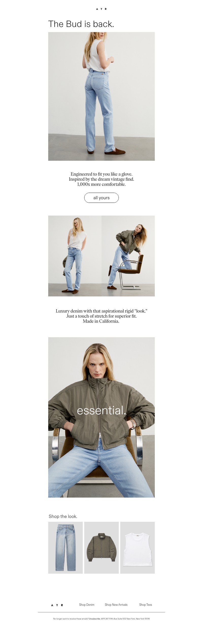 Screenshot of email with subject /media/emails/b75b5b58-91d8-4823-88ca-fa983f059c7a.jpg