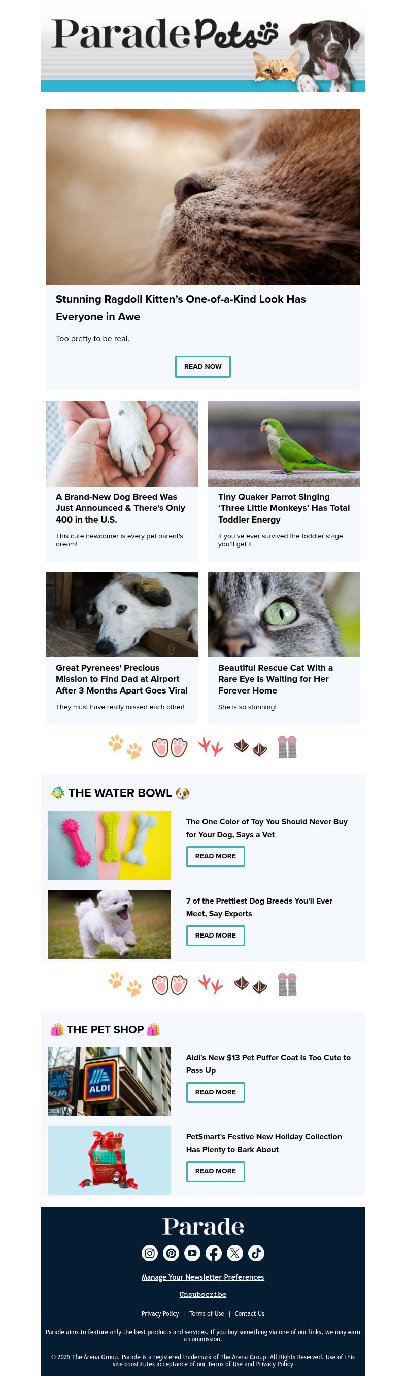 Screenshot of email with subject /media/emails/b7bb3d9b-38e3-4299-a2af-427c5e225494.jpg