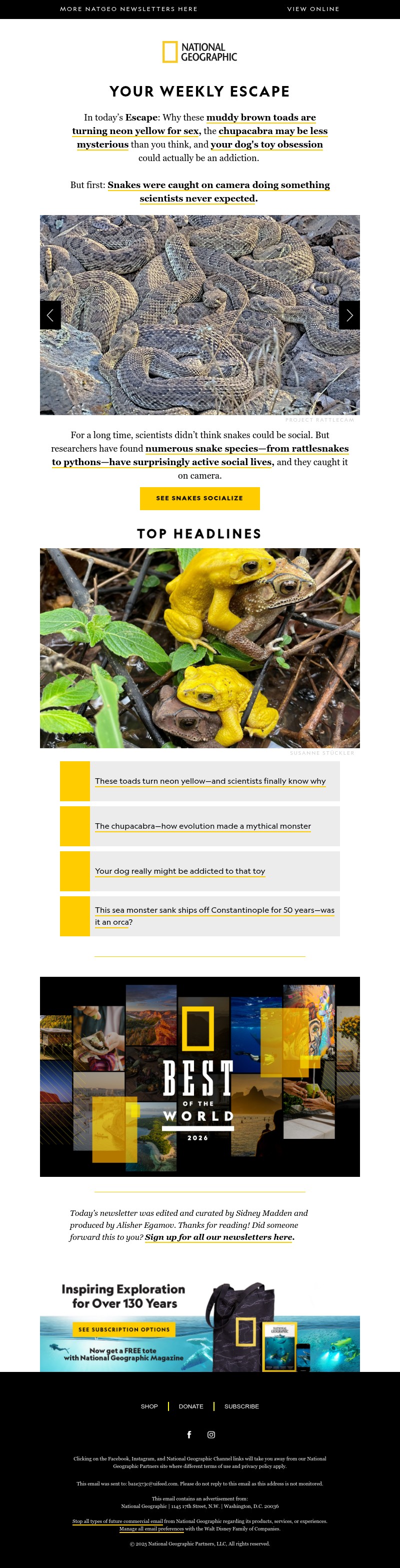 Screenshot of email with subject /media/emails/b8eb2f5b-a4b9-4334-8c2d-927ec2a80805.jpg