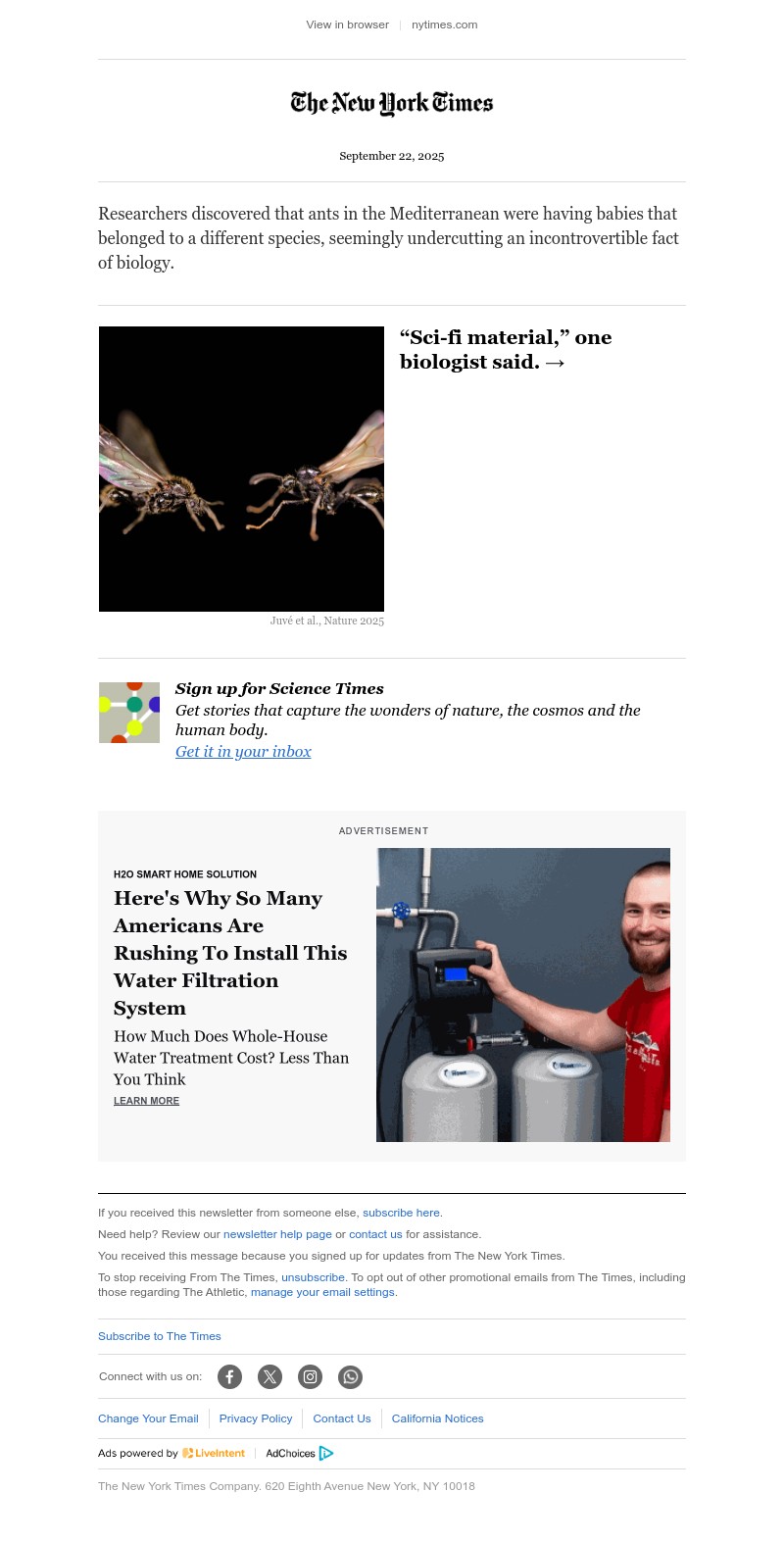 Screenshot of email with subject /media/emails/b9428dc1-cc9c-4d36-a062-7281ad867409.jpg