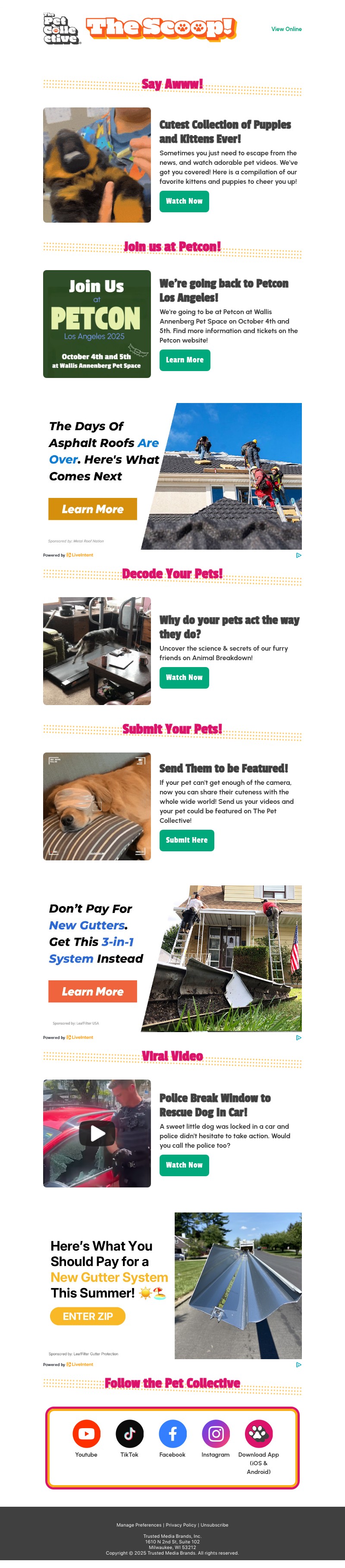 Screenshot of email with subject /media/emails/b942e809-21c3-4422-aebd-989d6a9dc7bf.jpg