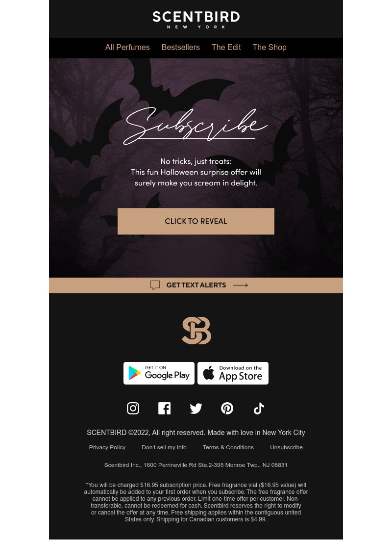 Screenshot of email with subject /media/emails/b97e71dc-2803-4d57-b1e1-8777d5970527.jpg