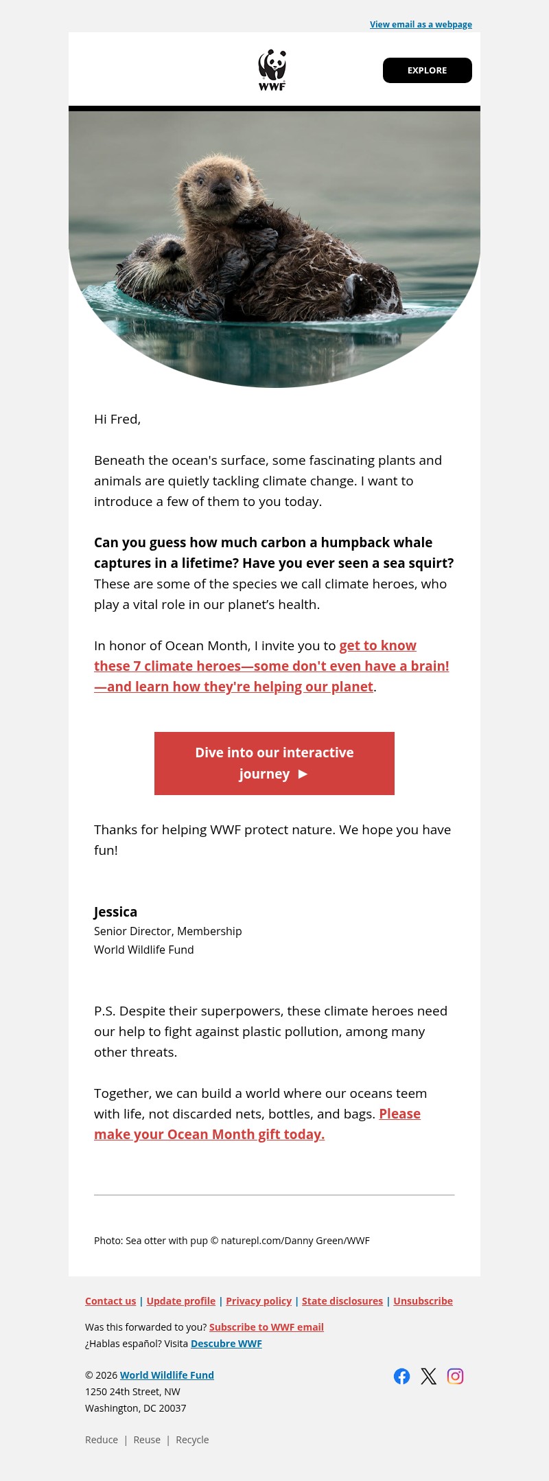 Screenshot of email with subject /media/emails/ba31517a-fea3-481f-a458-3e5a3288973e.jpg