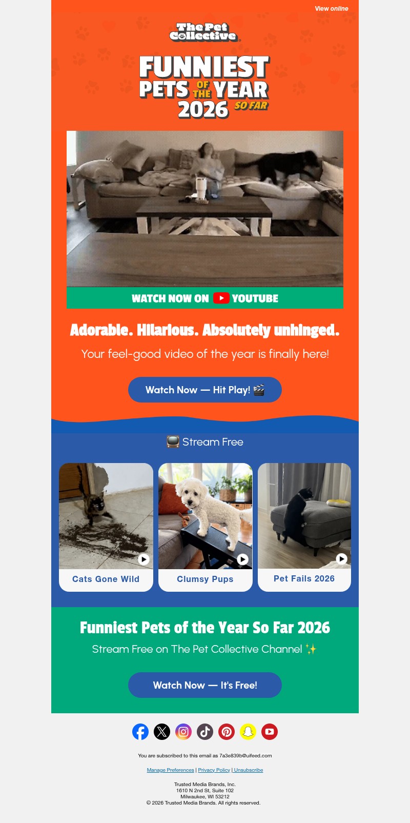Screenshot of email with subject /media/emails/baad7f90-dbfc-43ff-8c08-5d5dd715ce6e.jpg