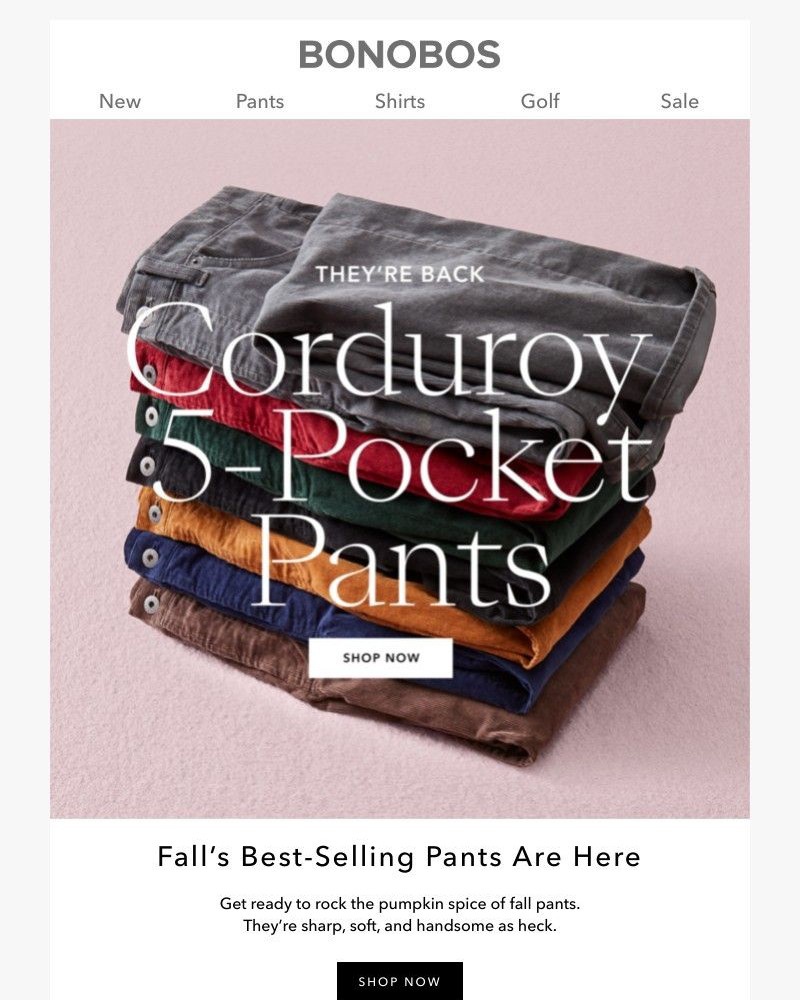 Screenshot of email with subject /media/emails/back-in-best-selling-cord-pants-303a29-cropped-3c20bef4.jpg