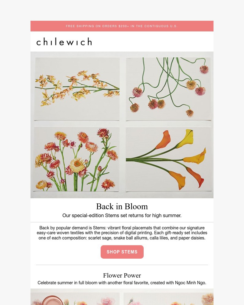 Screenshot of email with subject /media/emails/back-in-bloom-stems-eda177-cropped-17af720d.jpg