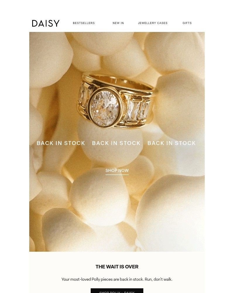 Screenshot of email with subject /media/emails/back-in-stock-3fb63e-cropped-4916ade6.jpg