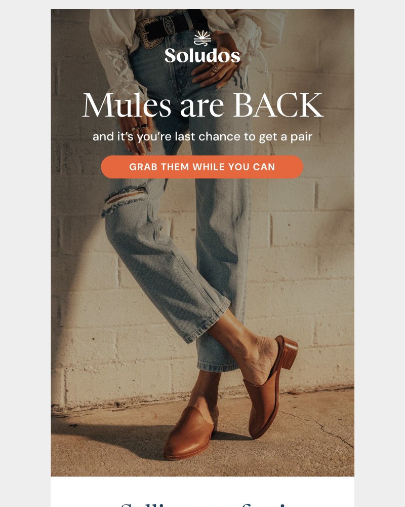 Screenshot of email with subject /media/emails/back-in-stock-best-selling-mules-ef2816-cropped-a6d43446.jpg