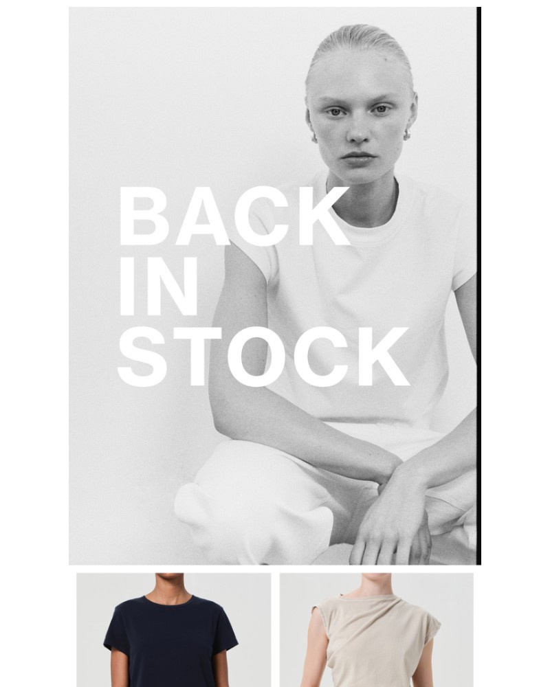 Screenshot of email with subject /media/emails/back-in-stock-c540e8-cropped-2c03b513.jpg