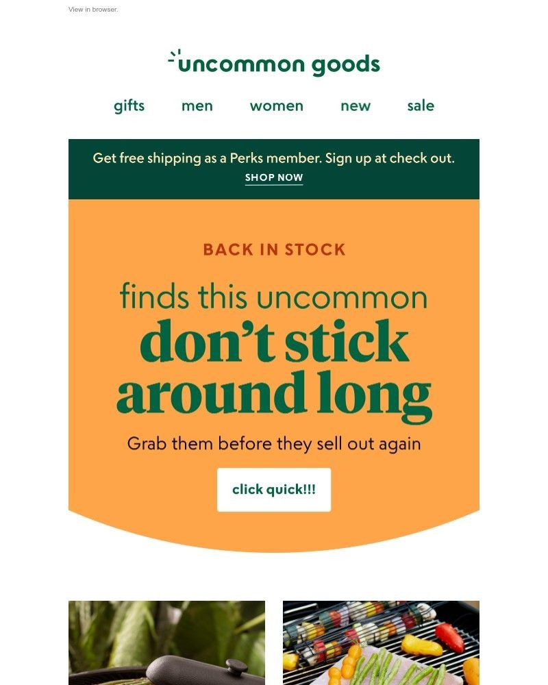 Screenshot of email with subject /media/emails/back-in-stock-finds-this-uncommon-dont-stick-around-long-b46824-cropped-d3744b38.jpg