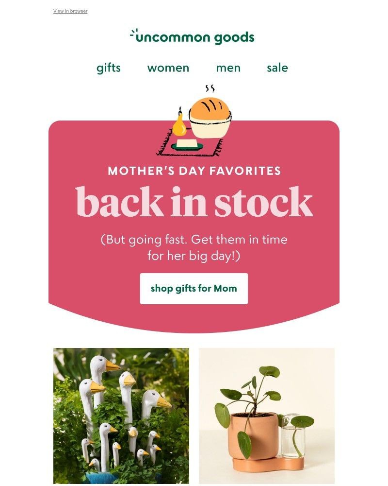 Screenshot of email with subject /media/emails/back-in-stock-mothers-day-favorites-04d171-cropped-72479901.jpg