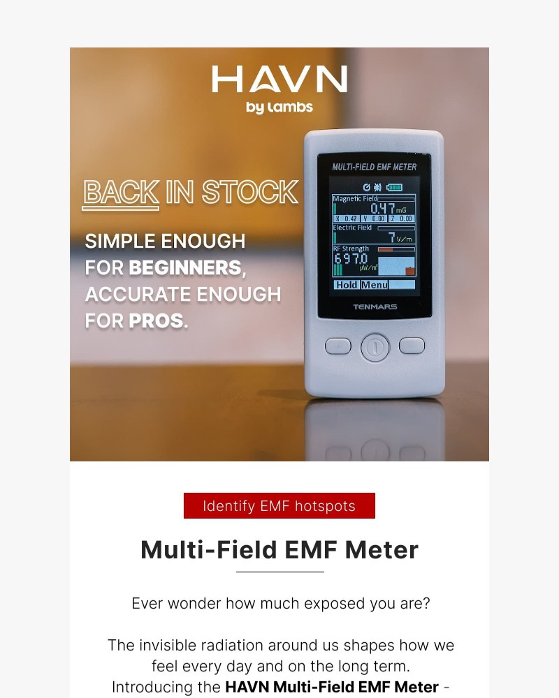 Screenshot of email sent to a Havn Newsletter subscriber