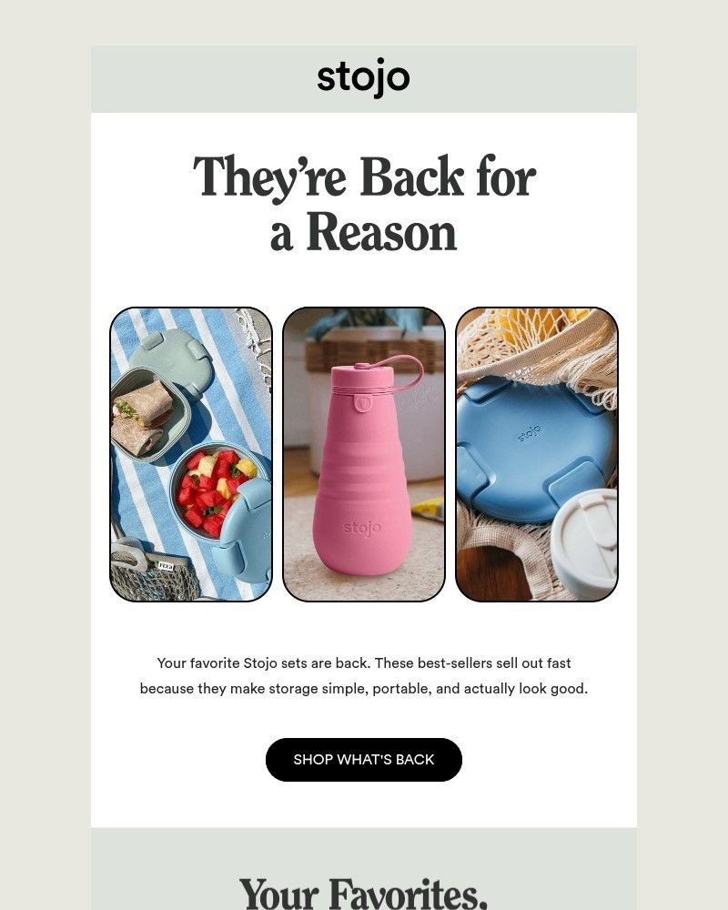 Screenshot of email with subject /media/emails/back-in-stock-your-favorites-just-dropped-495c85-cropped-af4908a0.jpg