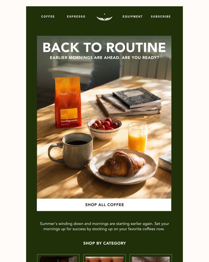 Screenshot of email sent to a Intelligentsia Newsletter subscriber