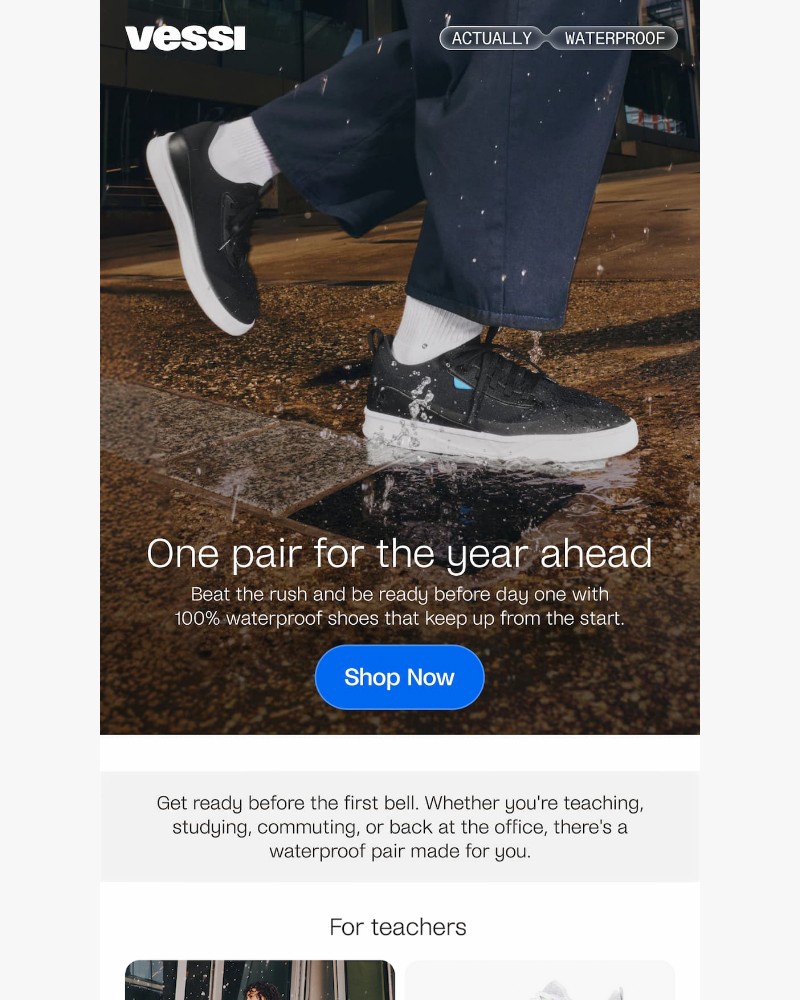 Screenshot of email sent to a Vessi Seller