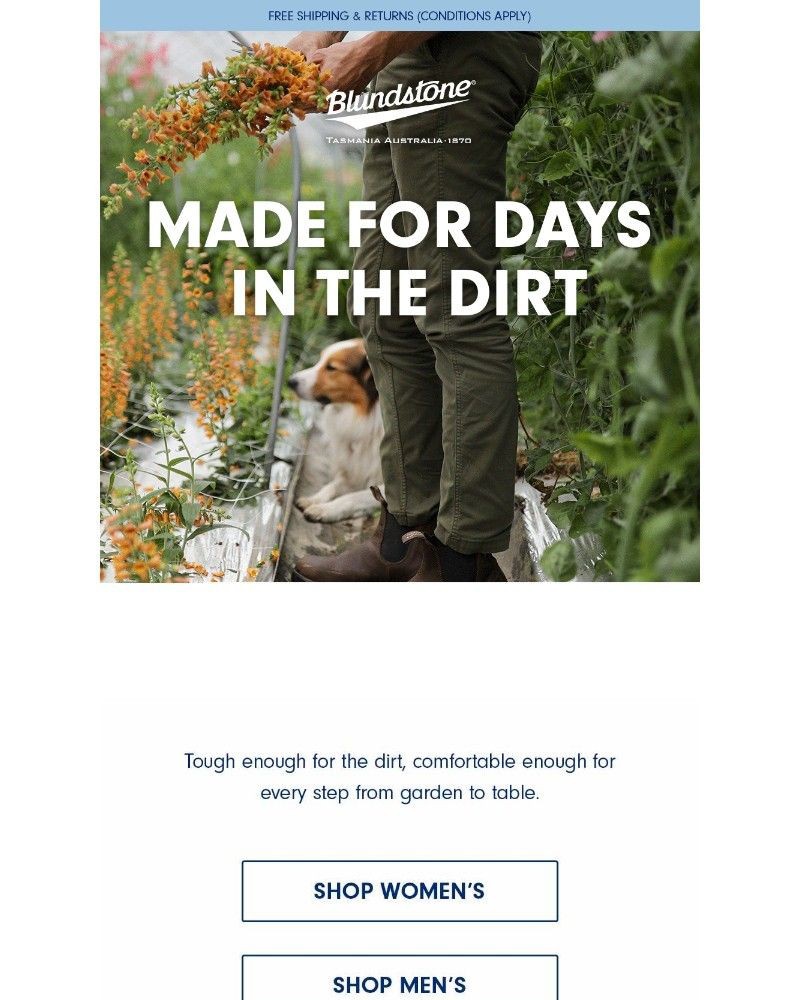 Screenshot of email with subject /media/emails/backyard-gardening-comfort-951590-cropped-0f65f45e.jpg