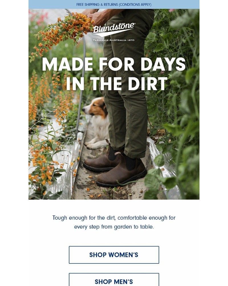 Screenshot of email with subject /media/emails/backyard-gardening-comfort-d17691-cropped-42fbf5ad.jpg