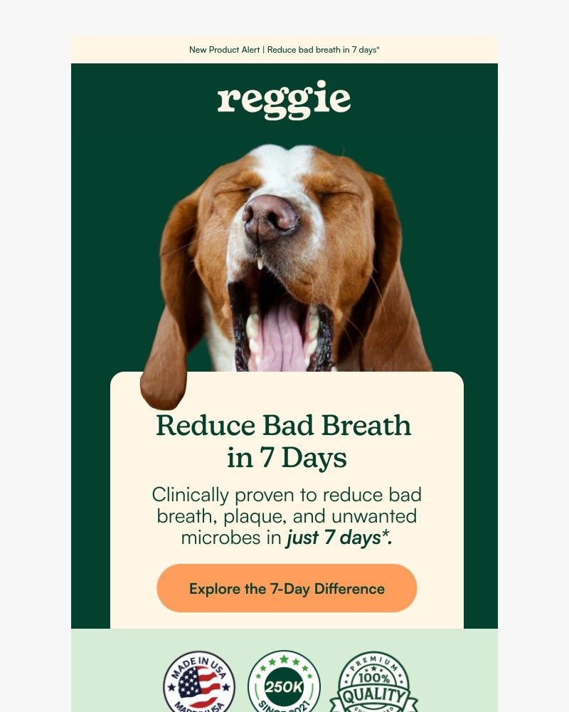 Screenshot of email sent to a reggie Newsletter subscriber