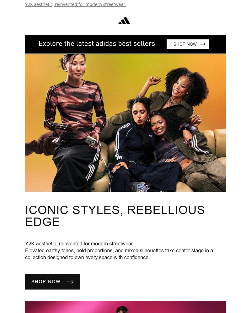 Screenshot of email sent to a Adidas Newsletter subscriber