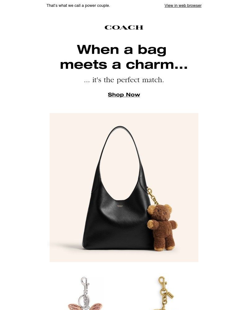 Screenshot of email with subject /media/emails/bag-charm-5cf90e-cropped-b7715b70.jpg