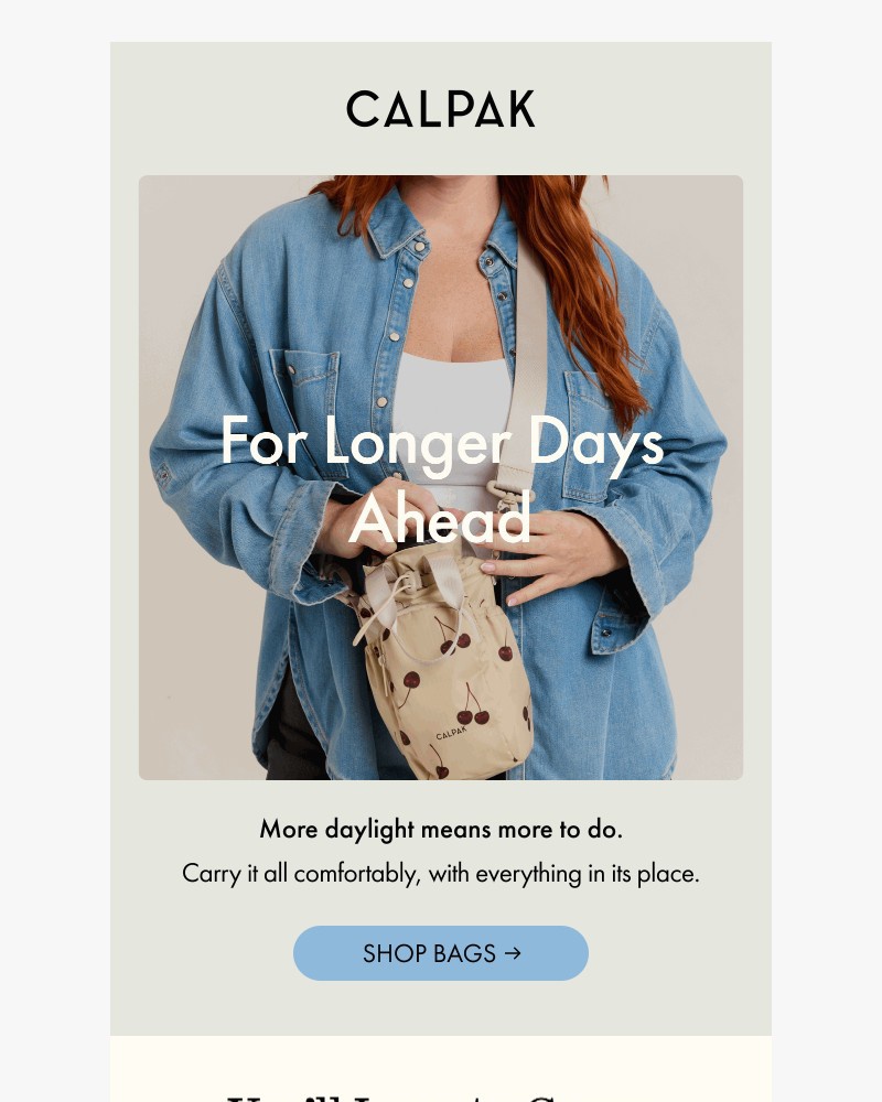 Screenshot of email sent to a Calpak Newsletter subscriber