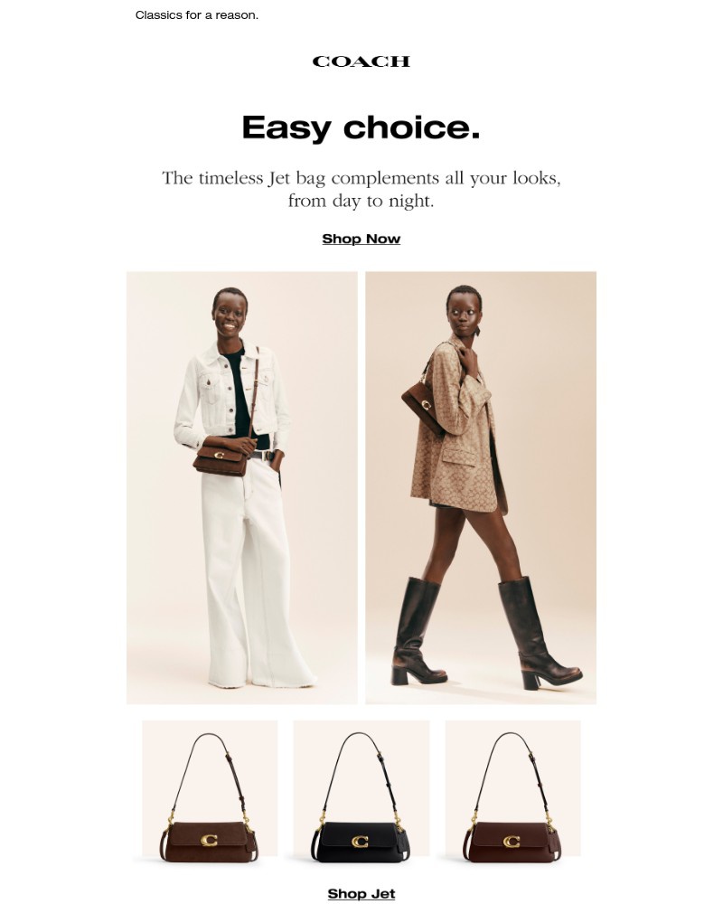 Screenshot of email with subject /media/emails/bags-that-go-with-all-your-looks-70fedb-cropped-1abfae2e.jpg