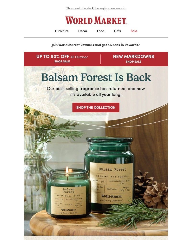 Screenshot of email with subject /media/emails/balsam-forest-returns-ded0f4-cropped-bc3308ea.jpg