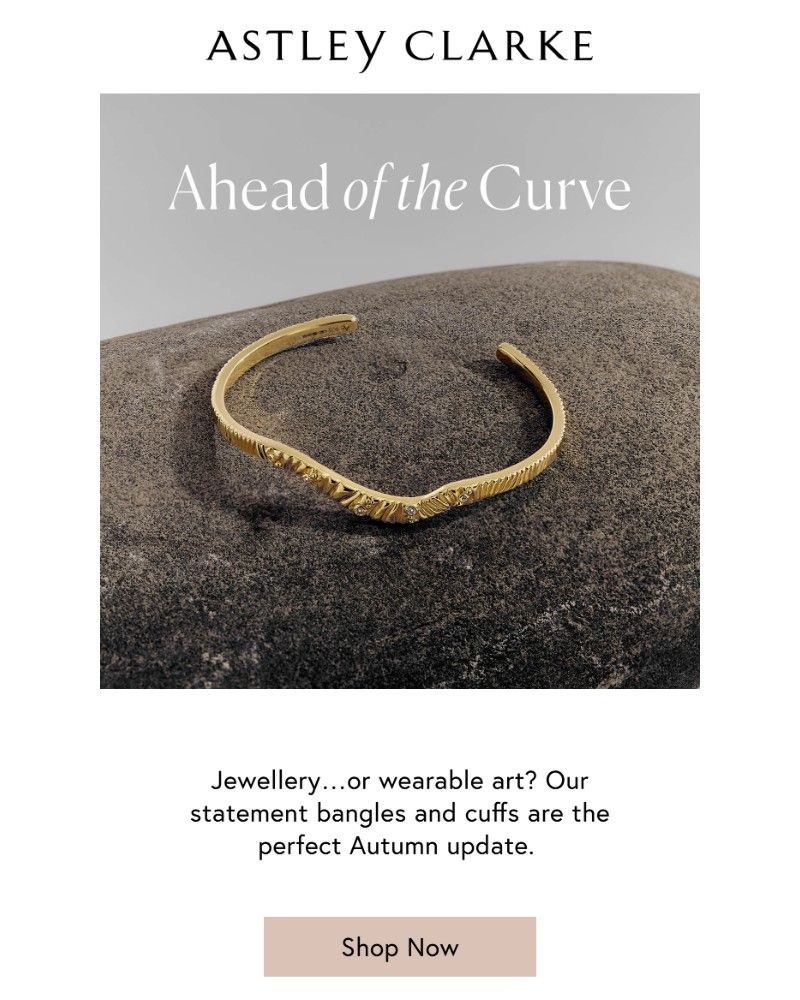 Screenshot of email with subject /media/emails/bangles-are-back-e3226b-cropped-578e3412.jpg