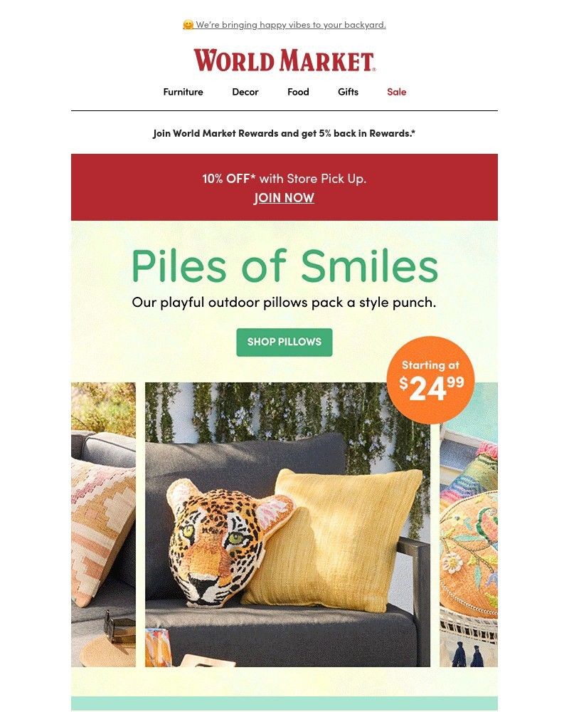 Screenshot of email with subject /media/emails/banish-bland-with-cute-colorful-outdoor-pillows-7e4a3c-cropped-dfe585e1.jpg